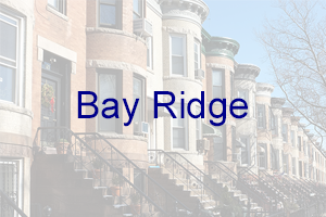 bay ridge tutoring and academic enrichment